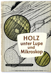 Holz unter Lupe und Mikroskop